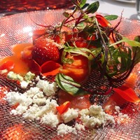 とれふる -  とれふる -