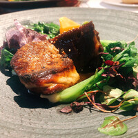 とれふる -  とれふる -