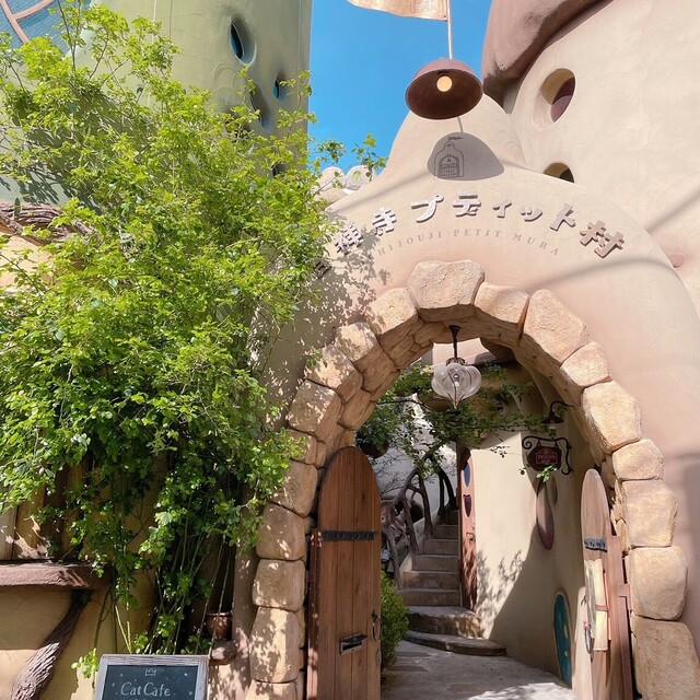 ティーハウス はっぱ Tea House はっぱ 吉祥寺 カフェ 食べログ