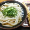 Udonichibamenkui - 料理写真:かけうどん（大）＆たけのこの天ぷら