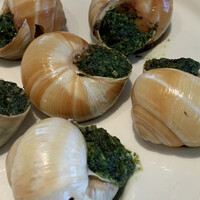 Benoit Alain Ducasse - 