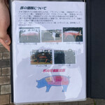 とんかつ マンジェ - 