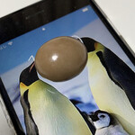 ミニストップ - 料理写真: