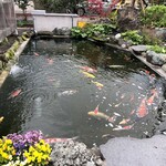 カフェアンドショップ ロータスランド - 涼しげな池の鯉
      2021/05/02
      ミニ玄米珈琲ゼリーパフェ 390円
      +アイスコーヒー 190円 ドリンクセット