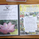 CAFE&SHOP Lotus Land - メニュー
                        2021/05/02
                        ミニ玄米珈琲ゼリーパフェ 390円
                        +アイスコーヒー 190円 ドリンクセット