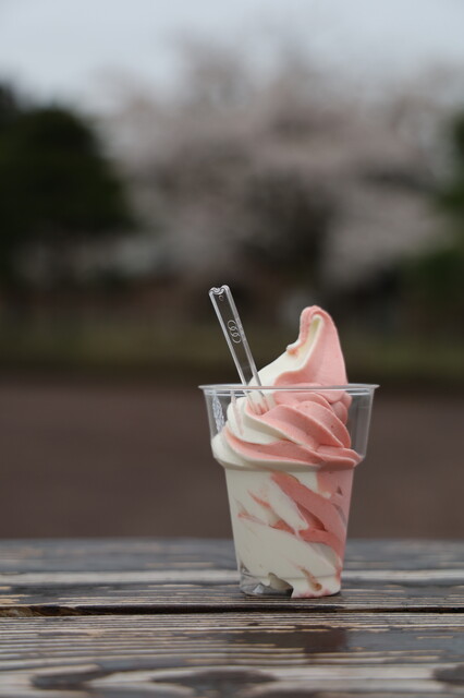 はこだて市民の森 売店