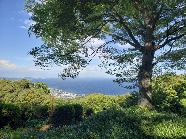hidering5050さんが投稿した一夜城 ヨロイヅカ・ファーム（神奈川/早川）の口コミ詳細 [食べログ] 一夜城 ヨロイヅカ・ファーム