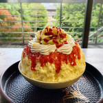 TRICO - 生デコ氷マスクメロン盛り