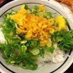 Marugame Seimen - 天丼用白ごはん ¥120