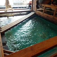 河太郎 中洲本店 - 