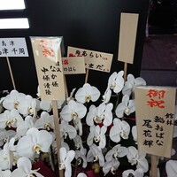 鮨 あらい - 