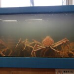 お食事処 かにや - 