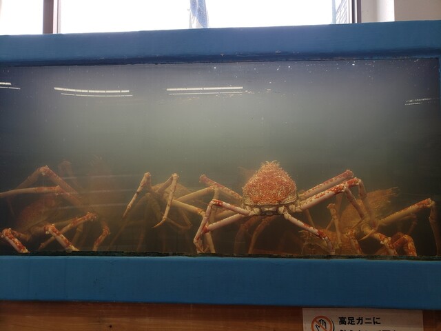 お食事処 かにや へだ本店 おしょくじどころ かにや 沼津市その他 かに ネット予約可 食べログ お食事処 かにや へだ本店 おしょくじどころ かにや 沼津市その他 かに ネット予約可 食べログ