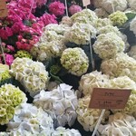 アールケイ ガーデン - お花屋さんの紫陽花