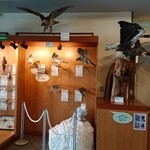 クッチャロ湖畔 売店 Chaiko - 浜頓別クッチャロ湖水鳥観察館