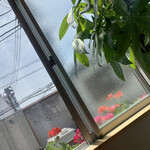 お茶とパンの店 tePle - 