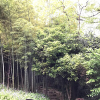 寿麹庵 - 