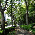 ラーメン二郎 - 緑っていいね～