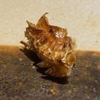 すし匠 まさ - 