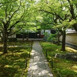 グラン・ヴァニーユ - 洛中は新緑で緑色にも色々あるんだよって❗囁いていますね♪(*^-^)(笑)戦国時代の喫茶店は四畳半です。いやでも人と人が近づくような仕掛けになっていました。