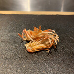 天ぷらあら木 - 