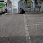 タージマハル - 