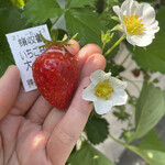 姫路ハートフル観光農園 - 