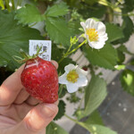 姫路ハートフル観光農園 - 