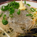 ゑちぜん屋 - 生しらす