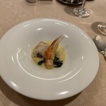 セル ドール - 8.下平目・カニ爪