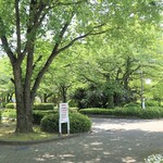 Kokochi Shokudou - 近くの公園で