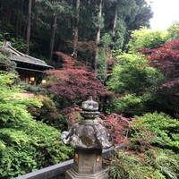 うかい鳥山 - 