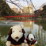 Koube Korokke - ボキらは天王寺公園にお散歩に来ました。天王寺公園と言えば有料で入れる慶沢園が有名だけど、公園北側の小高い丘になってるこちらの茶臼山は無料で入ることができるんだよ。