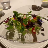 レフェルヴェソンス - 