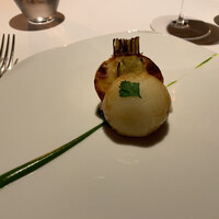 レフェルヴェソンス - 