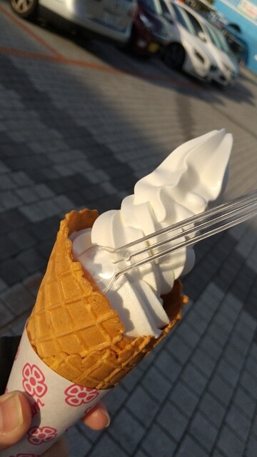 北キツネの大好物 福岡タワー店 西新 レストラン その他 食べログ 北キツネの大好物 福岡タワー店 西新 レストラン その他 食べログ
