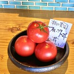 <프리미엄> 모치다 농장의 과일 토마토
