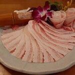 Shimashabushabu Nakama - 