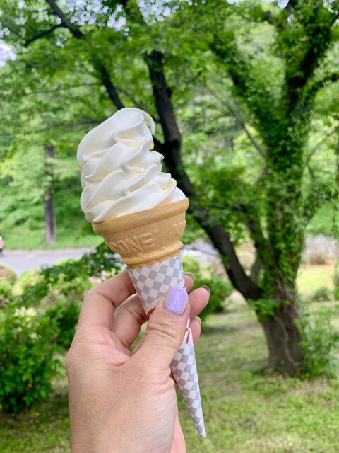 ミルクプラントソフト売店 こどもの国 アイスクリーム 食べログ