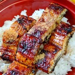 Fuji Unagi - 