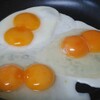 卵菓屋 - 