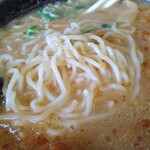 旭川ラーメン天山 - 麺のアップ