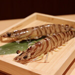 玄水 - 活車海老