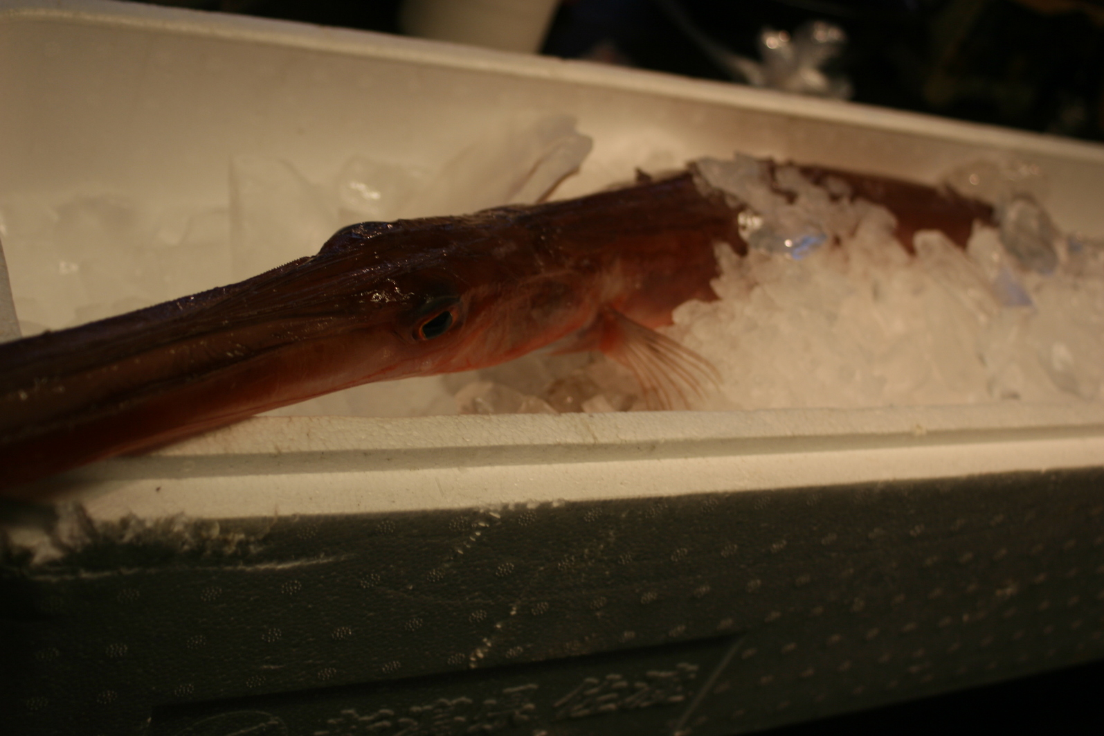 料理写真 福笑 本店 ふくわらい 恵比寿 自然食 食べログ 料理写真 福笑 本店 ふくわらい 恵比寿 自然食 食べログ