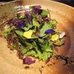 銀座 山科 - 季節の彩りサラダ