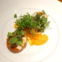 イタリア料理 スペランツァ - 地蛸と里芋のテリーヌ　オレンジのソース添え
