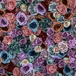 The Fishermans Daughter