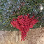 The Fishermans Daughter