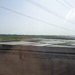 ラーメン二郎 - 真中にパラグライダーが居るんだけど