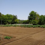 ラーメン二郎 - ウグイスの鳴き声が聞こえる